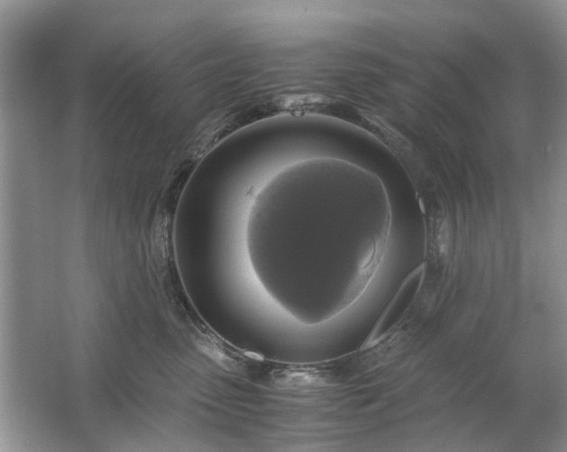 X0000063460475200601231423