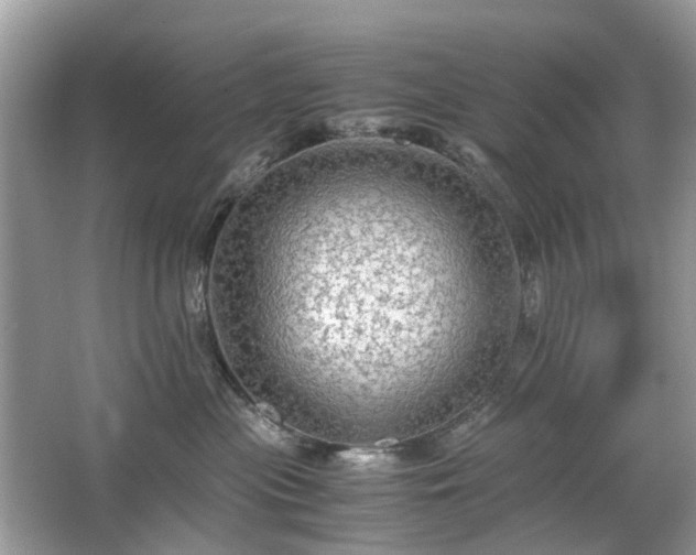 X0000063460477200601231423