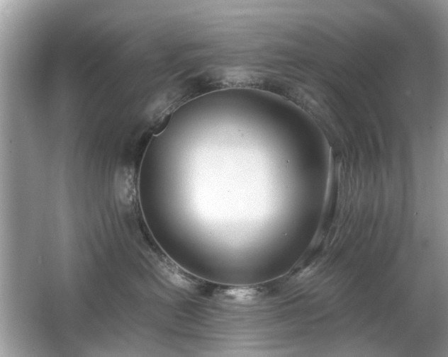 X0000063460478200601231423