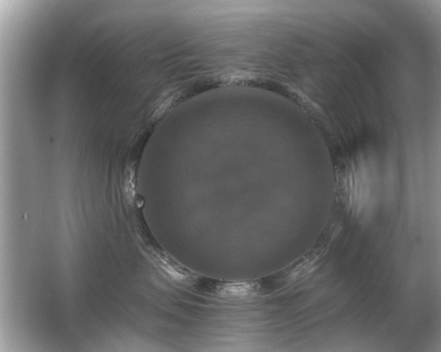 X0000063460479200601231423