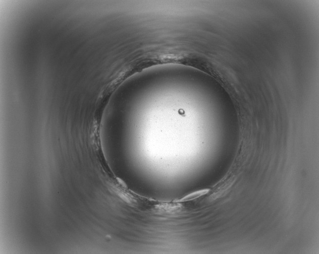 X0000063460480200601231423