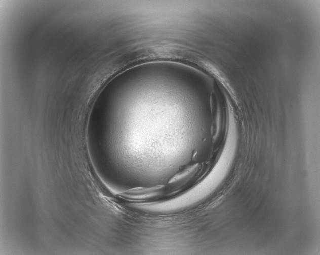 X0000063460481200601231422