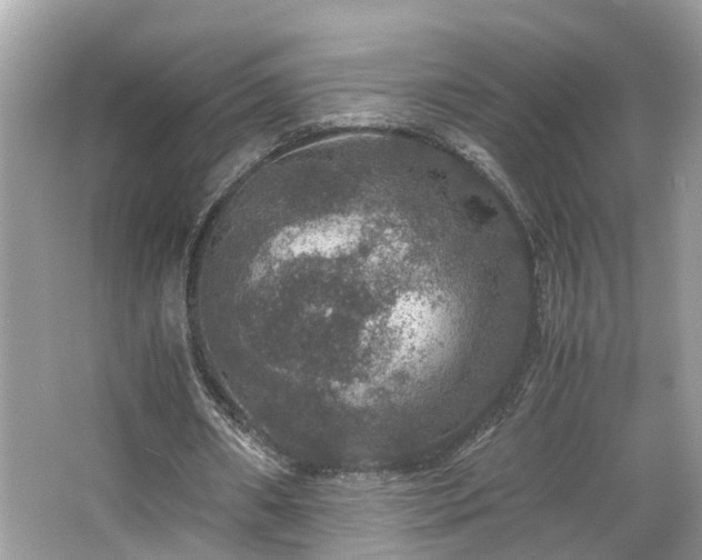 X0000063460482200601231422