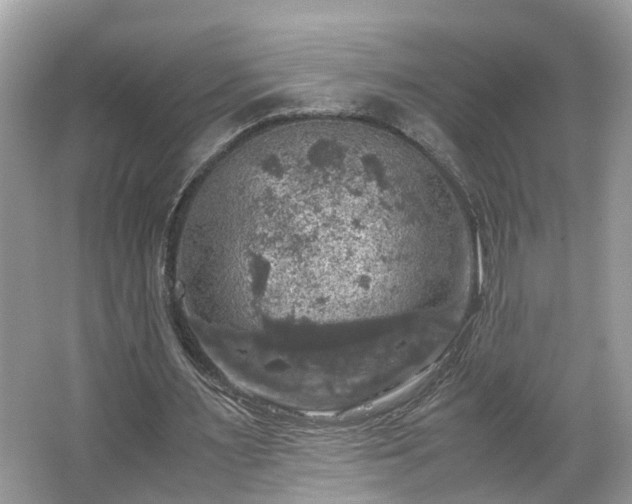 X0000063460483200601231422