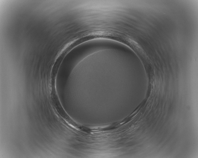 X0000063460484200601231422