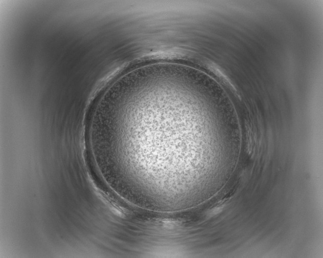 X0000063460486200601231422