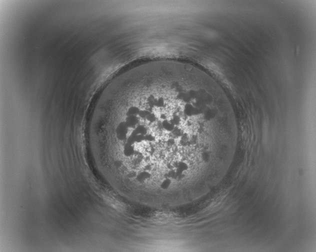 X0000063460487200601231422