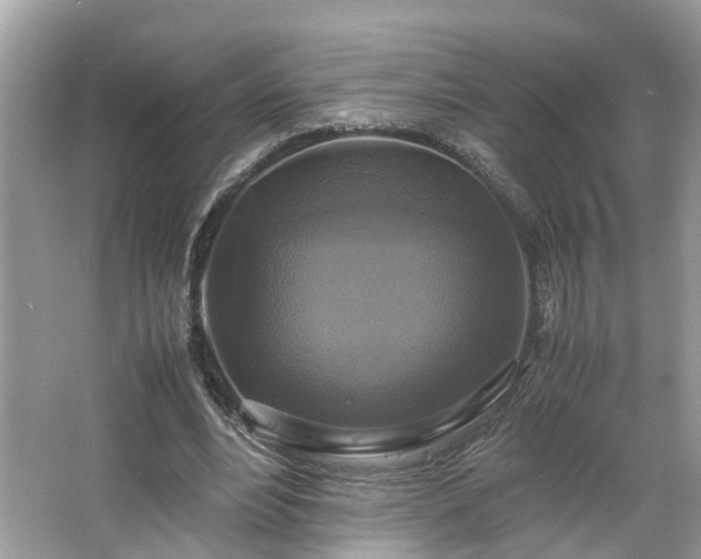 X0000063460488200601231422