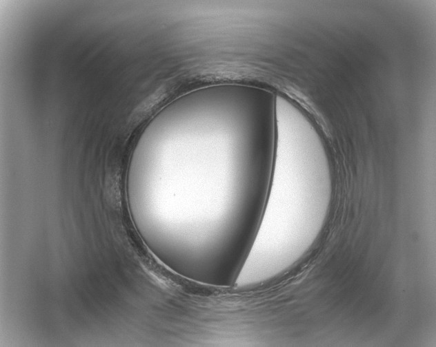 X0000063460489200601231422