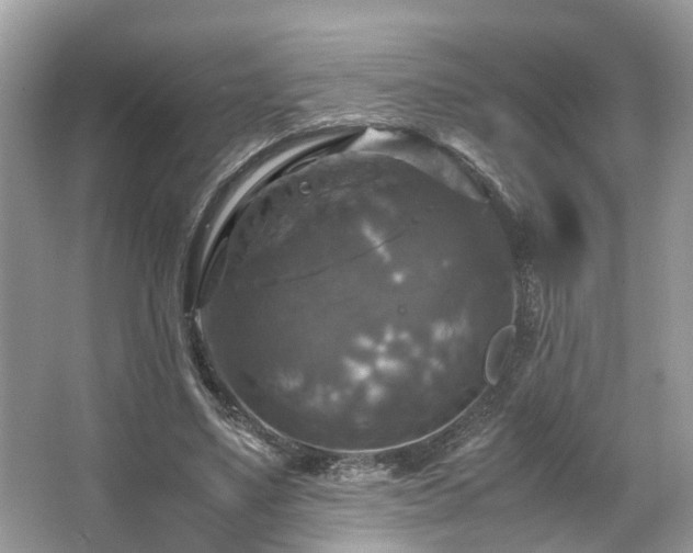 X0000063460491200601231422