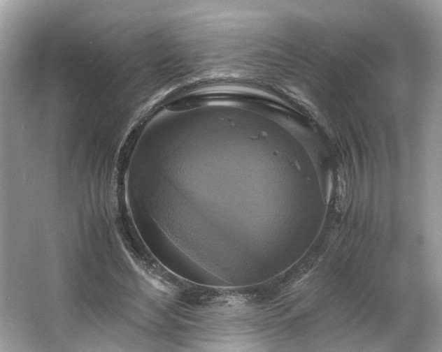 X0000063460492200601231422