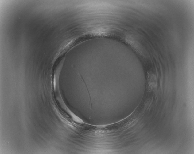 X0000063460494200601231422