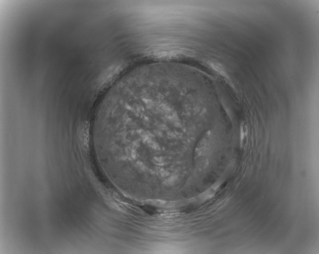 X0000063460495200601231422