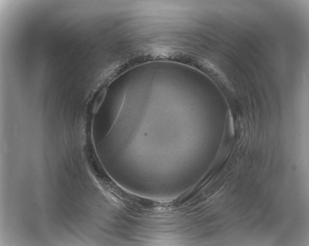 X0000063460496200601231422