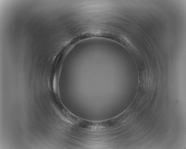 X0000063460500200601231422