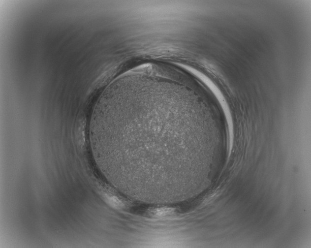 X0000063460501200601231422