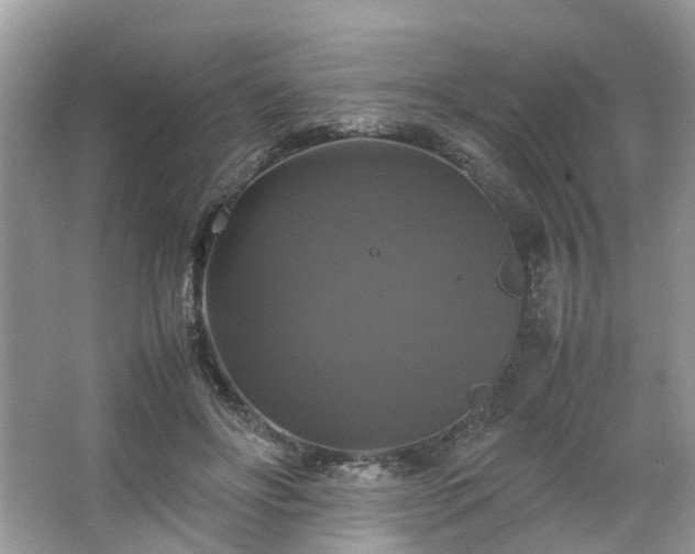 X0000063460502200601231422