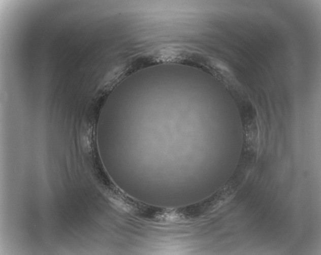 X0000063460503200601231422