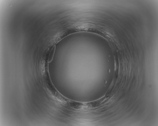 X0000063460504200601231422