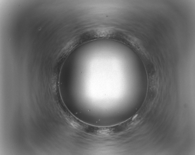 X0000063460505200601231422