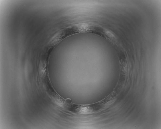 X0000063460507200601231422