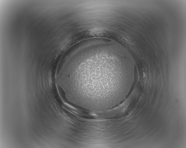 X0000063460508200601231422