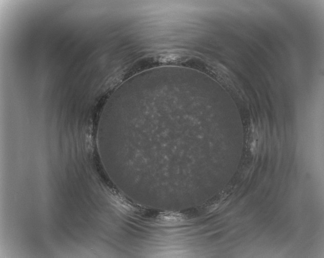 X0000063460510200601231422