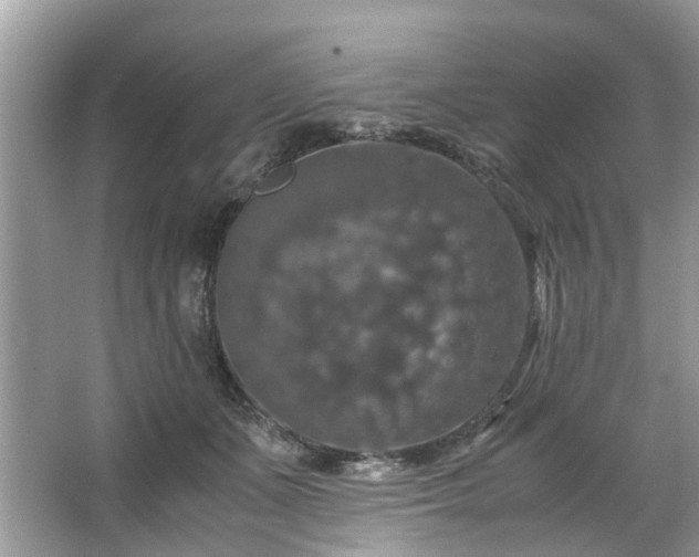 X0000063460511200601231422