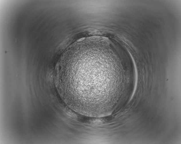 X0000063460513200601231422