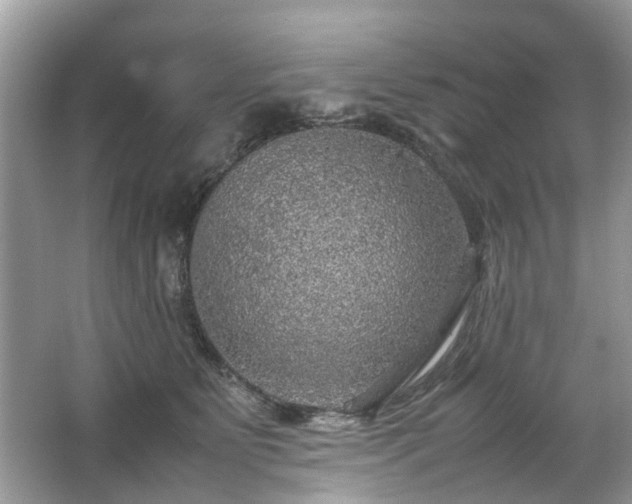 X0000063460515200601231422