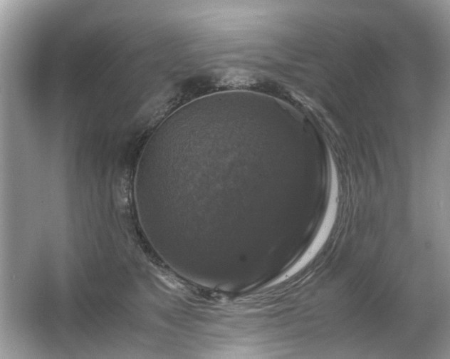 X0000063460517200601231421