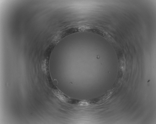 X0000063460519200601231421