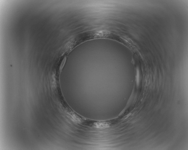 X0000063460520200601231421