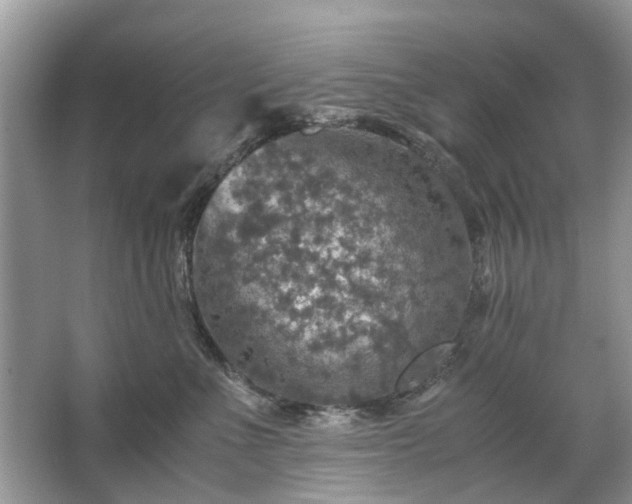 X0000063460523200601231421