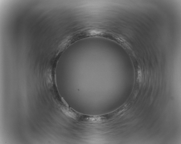 X0000063460524200601231421