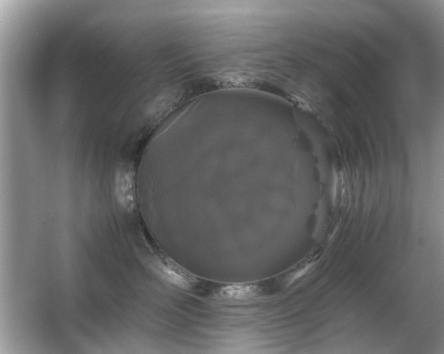 X0000063460526200601231421