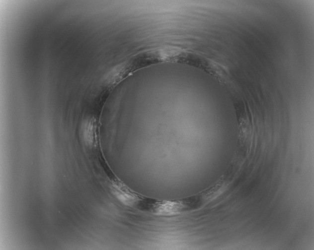 X0000063460527200601231421