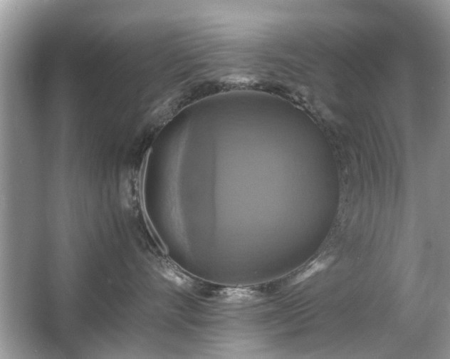 X0000063460528200601231421