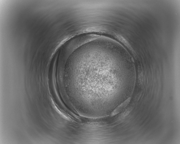 X0000063460530200601231420