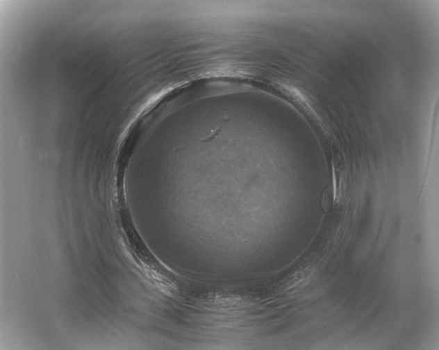 X0000063460531200601231421