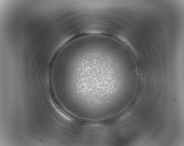 X0000063460533200601231421