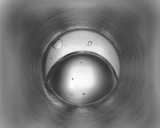 X0000063460534200601231421