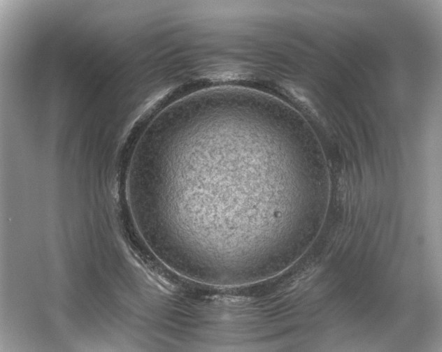 X0000063460539200601231421