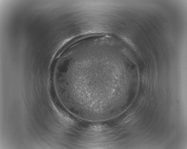 X0000063460540200601231421