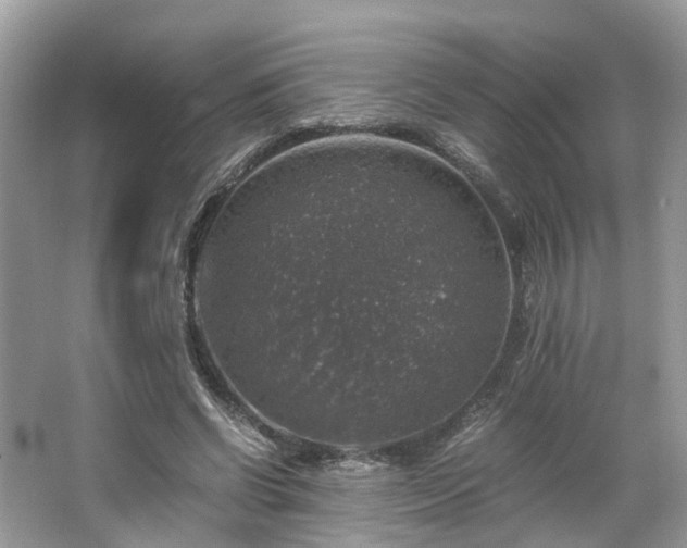 X0000063460542200601231421