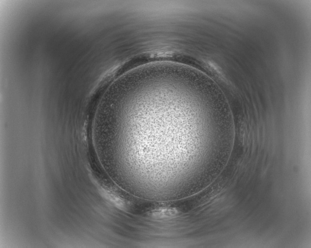 X0000063460543200601231421