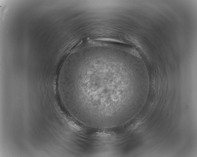 X0000063460545200601231421