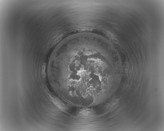 X0000063460550200601231421