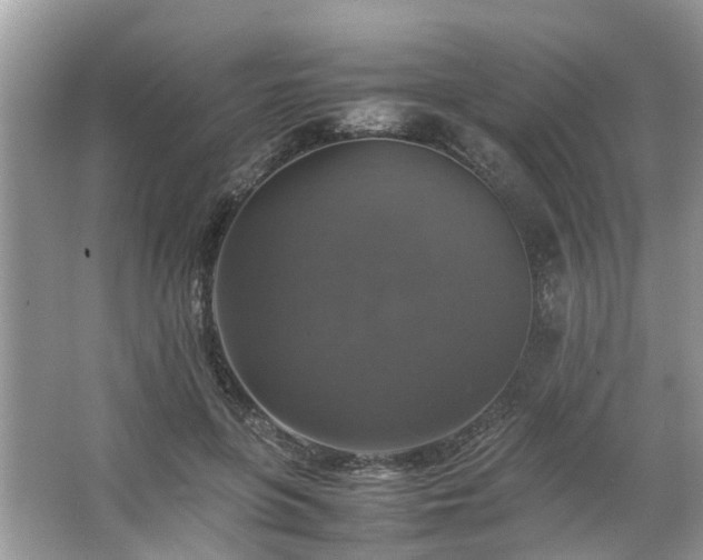 X0000063460551200601231421