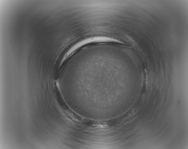 X0000063460552200601231421